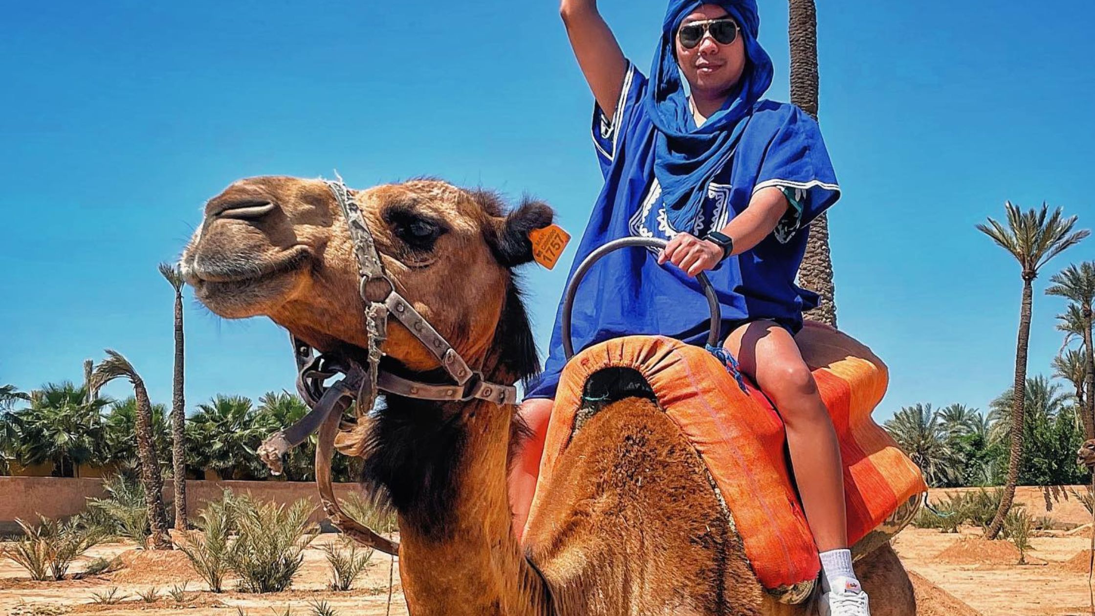 Camel Ride Marrakesh | Soubaai.com